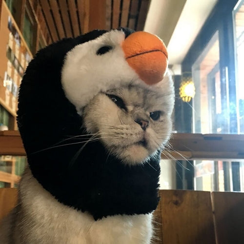 1PC Halloween Pet Headwear Xmas Fancy Dress Up Pet