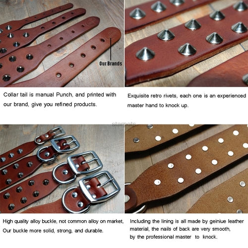 Cool Rivets Studded Best Genuine Leather Pet Dog