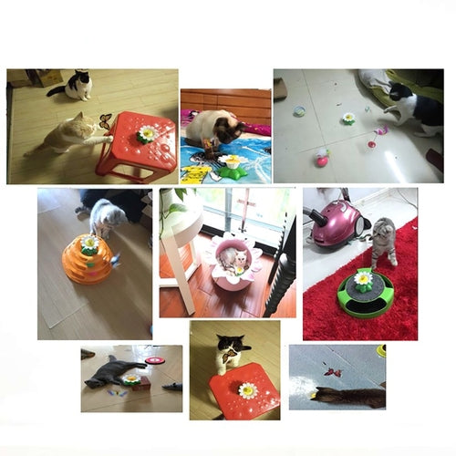 Hot sale Colorful Butterfly Funny dog Cat Toys